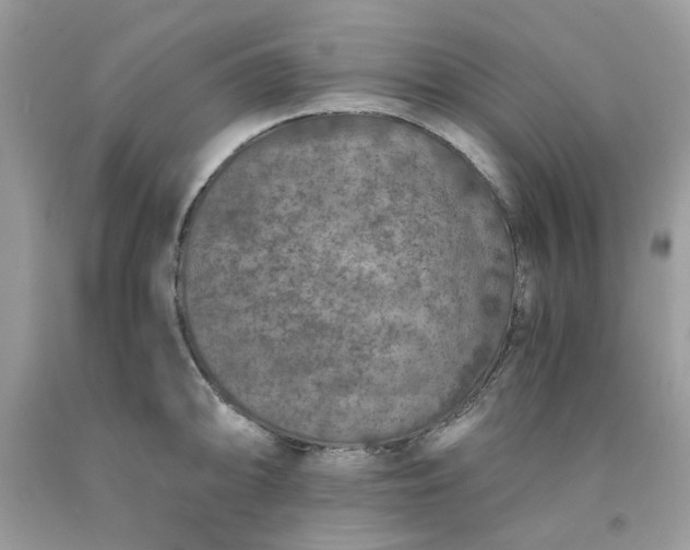 X0000091651094200709060954