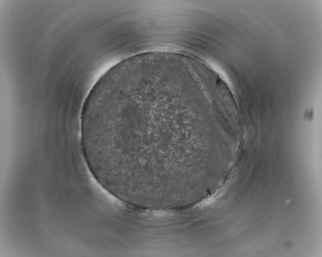 X0000091651095200709060954