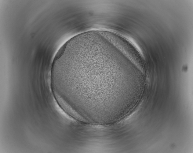 X0000091651100200709060954