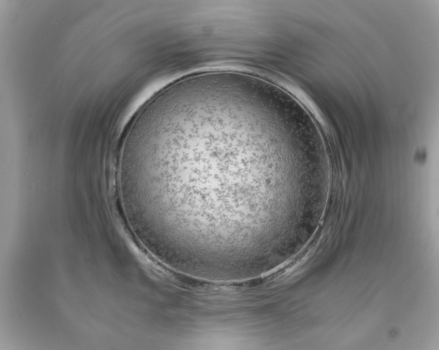 X0000091651101200709060954