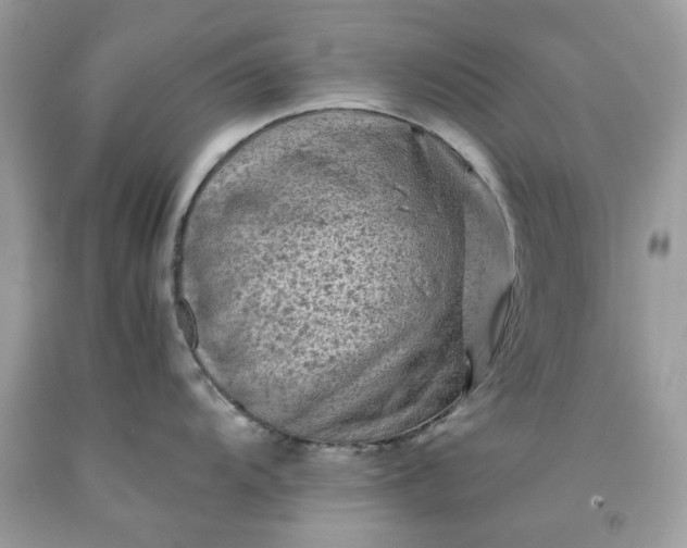 X0000091651104200709060954