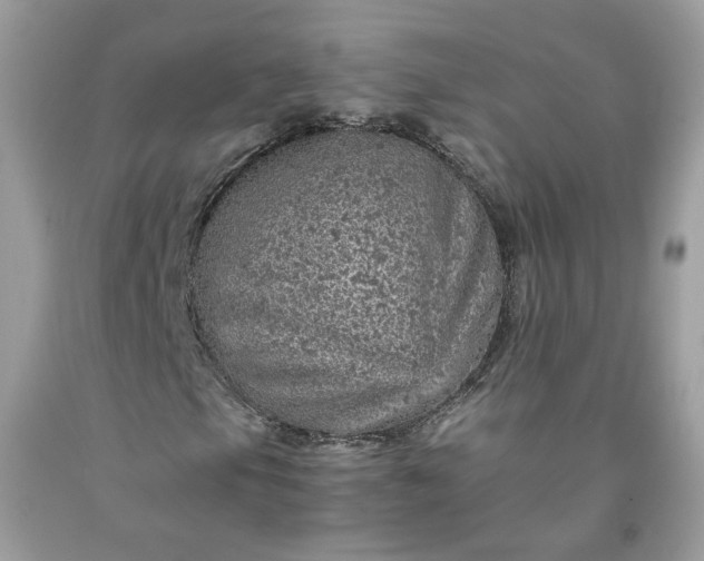 X0000091651105200709060953