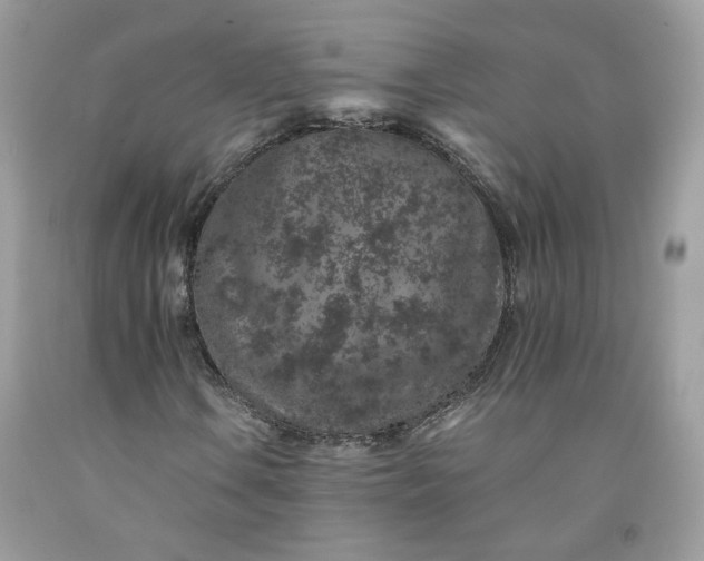 X0000091651106200709060953