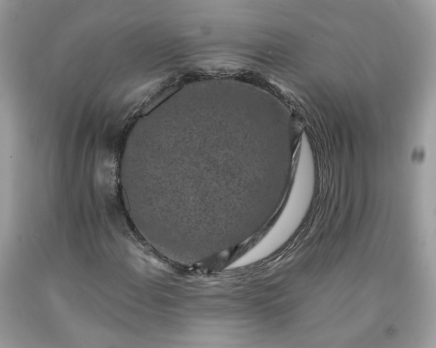 X0000091651108200709060953