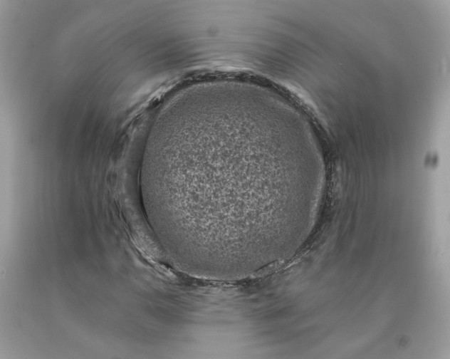 X0000091651110200709060953