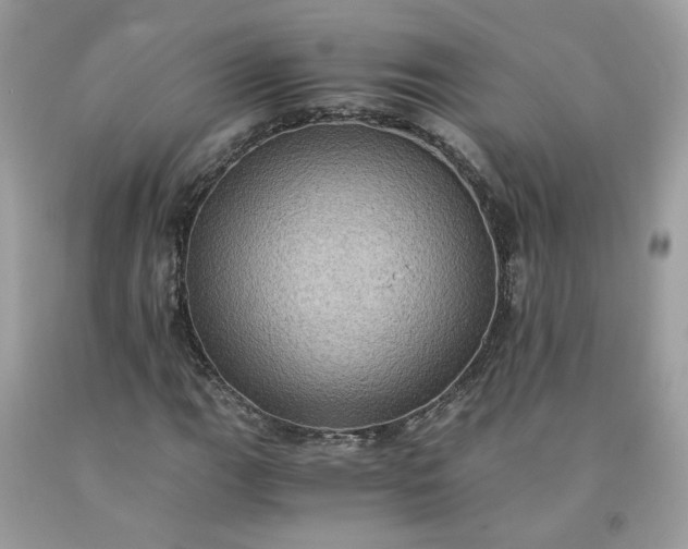 X0000091651111200709060953