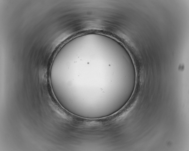 X0000091651113200709060953