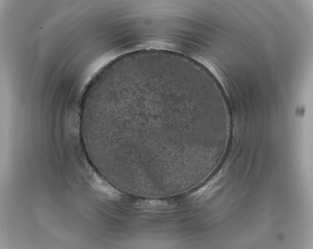 X0000091651115200709060953