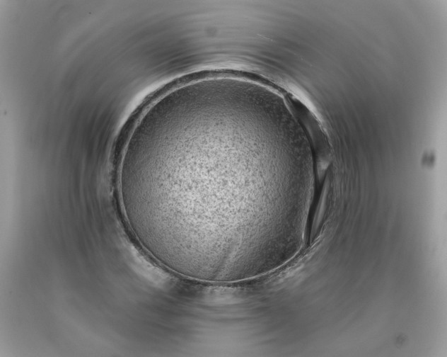 X0000091651116200709060953