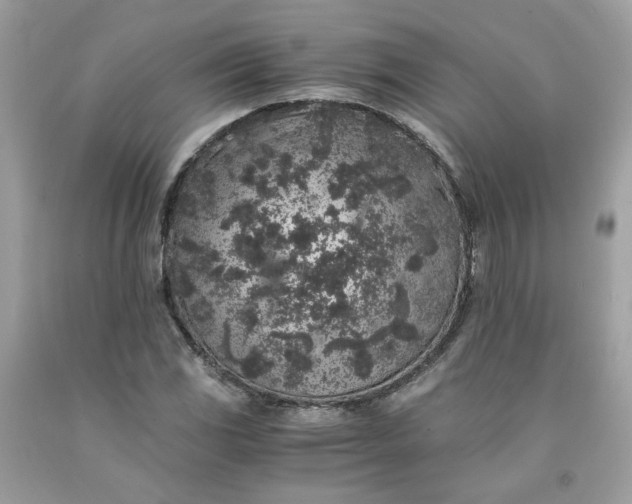 X0000091651117200709060953