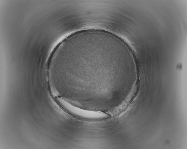 X0000091651118200709060953