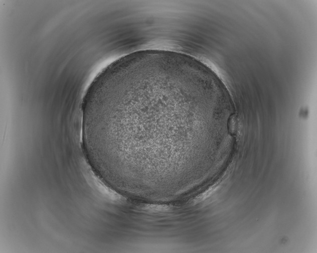 X0000091651123200709060953