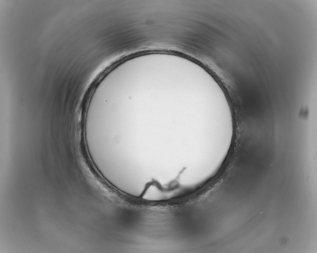 X0000091651126200709060953