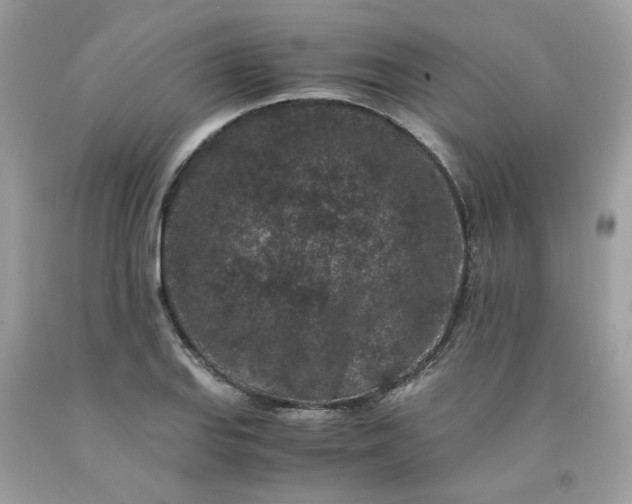 X0000091651127200709060953