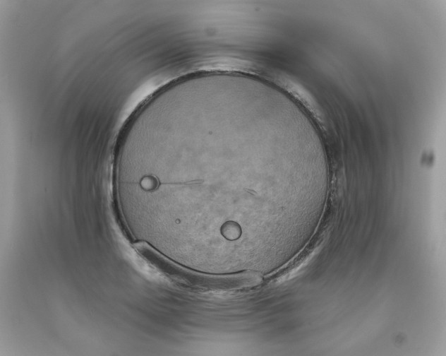 X0000091651130200709060953