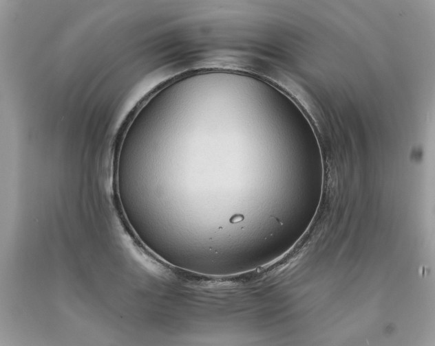 X0000091651131200709060953