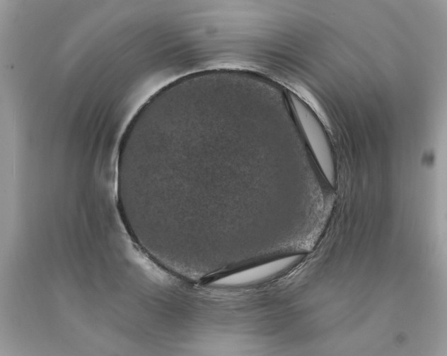 X0000091651132200709060953