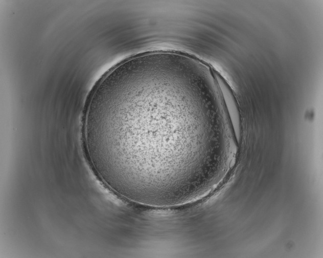 X0000091651134200709060953