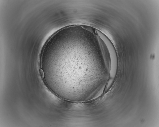 X0000091651136200709060953