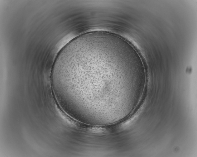 X0000091651137200709060953