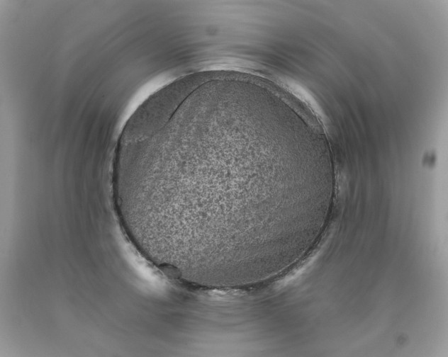 X0000091651138200709060953