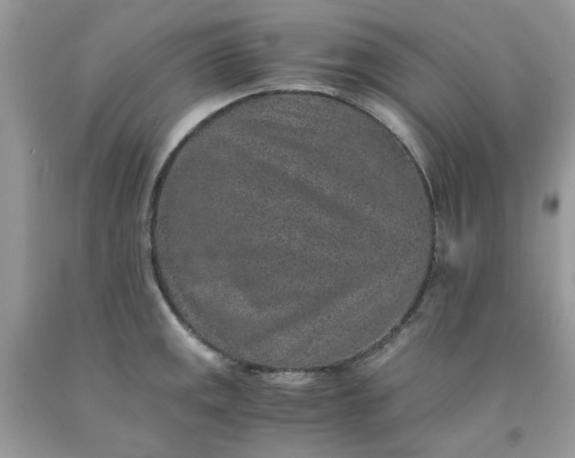 X0000091651141200709060953