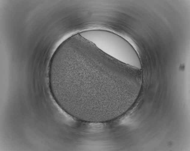 X0000091651142200709060953