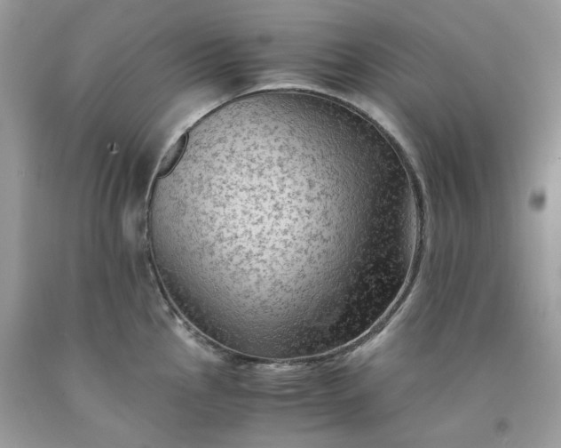 X0000091651145200709060953