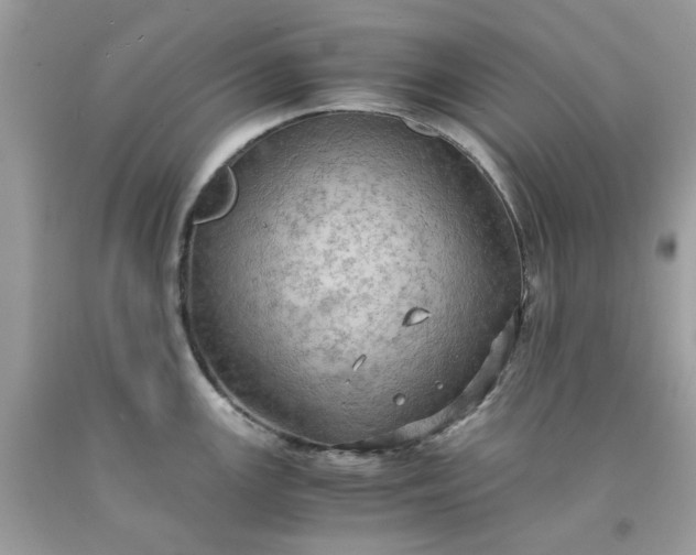 X0000091651147200709060953