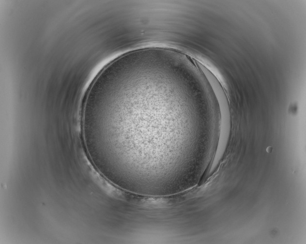 X0000091651148200709060953