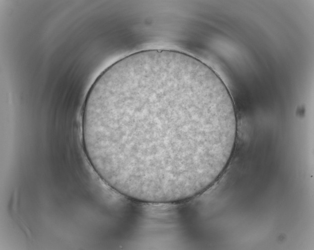 X0000091651150200709060954