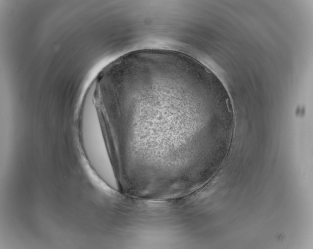 X0000091651152200709060954