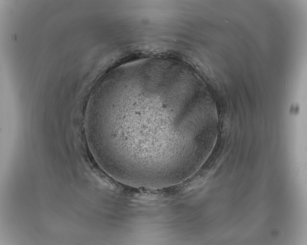 X0000091651153200709060953