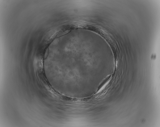 X0000091651155200709060953