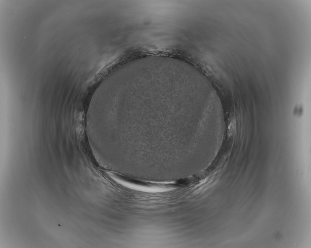 X0000091651156200709060953