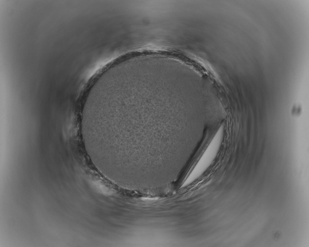 X0000091651160200709060953