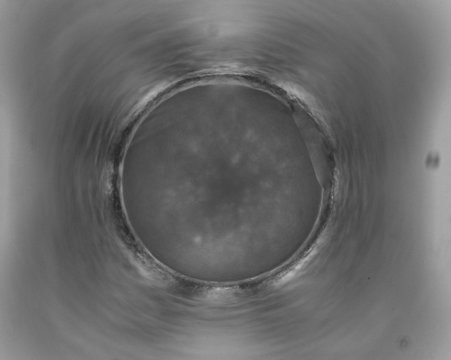 X0000091651161200709060953