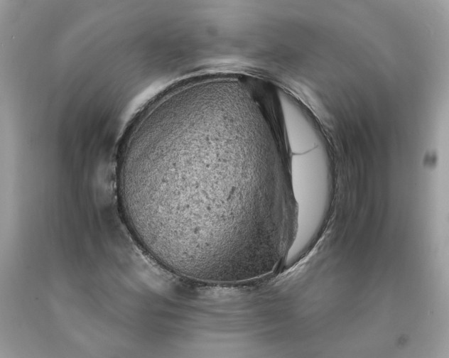 X0000091651164200709060953