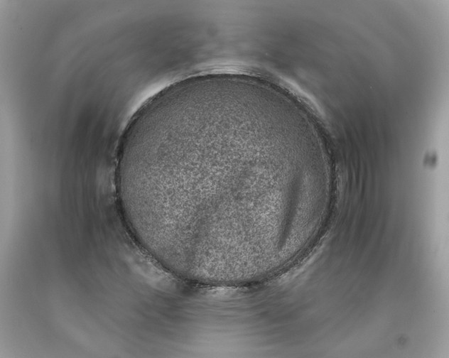 X0000091651166200709060953