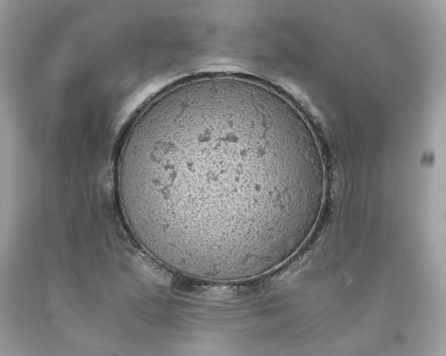 X0000091651167200709060953