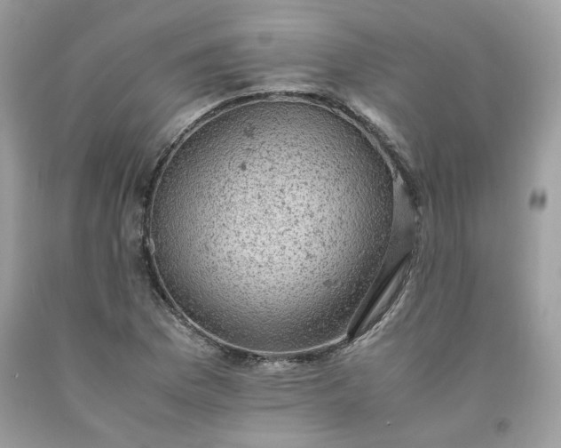 X0000091651169200709060953