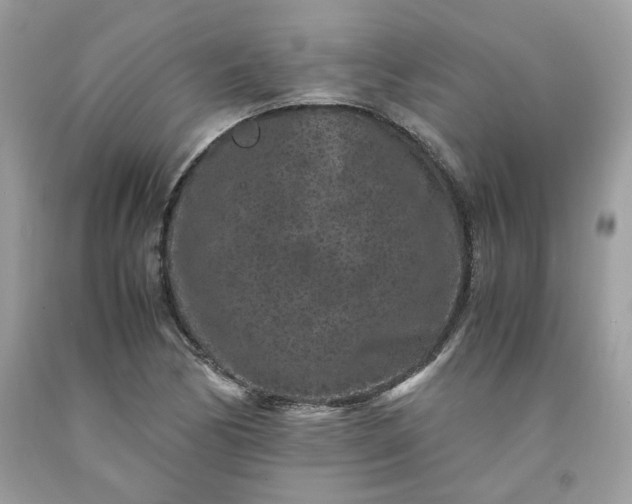 X0000091651170200709060953