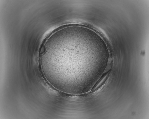 X0000091651172200709060953