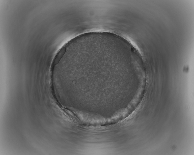 X0000091651173200709060953