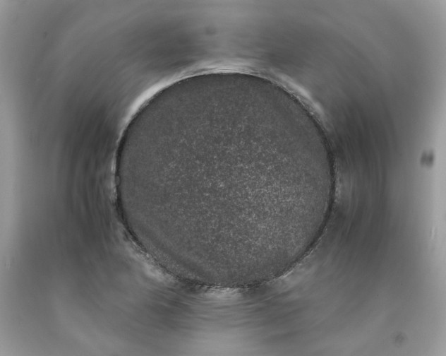 X0000091651174200709060952