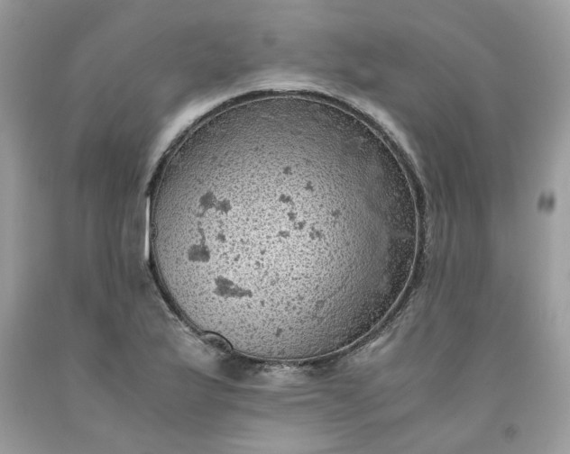 X0000091651175200709060952