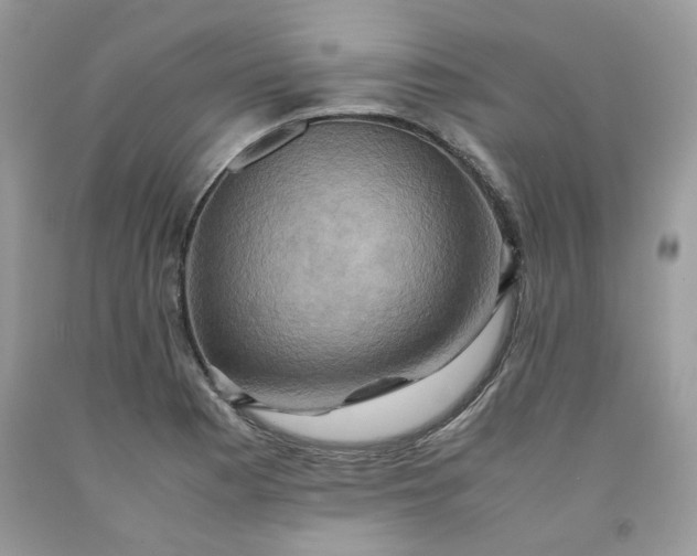 X0000091651177200709060952