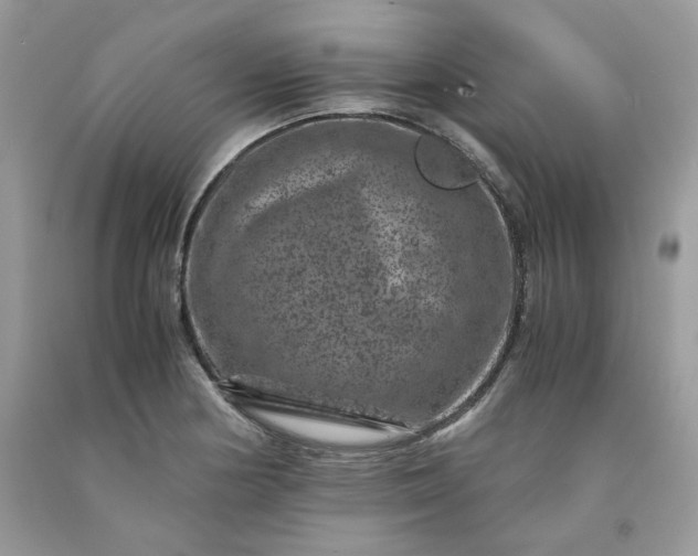 X0000091651178200709060952