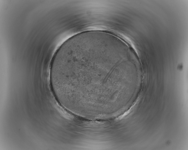 X0000091651179200709060952