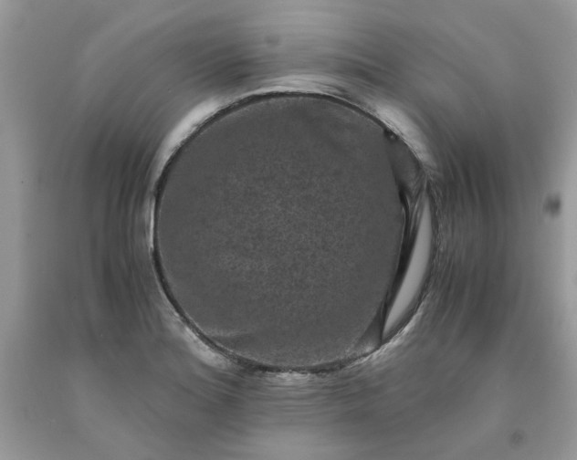 X0000091651180200709060952